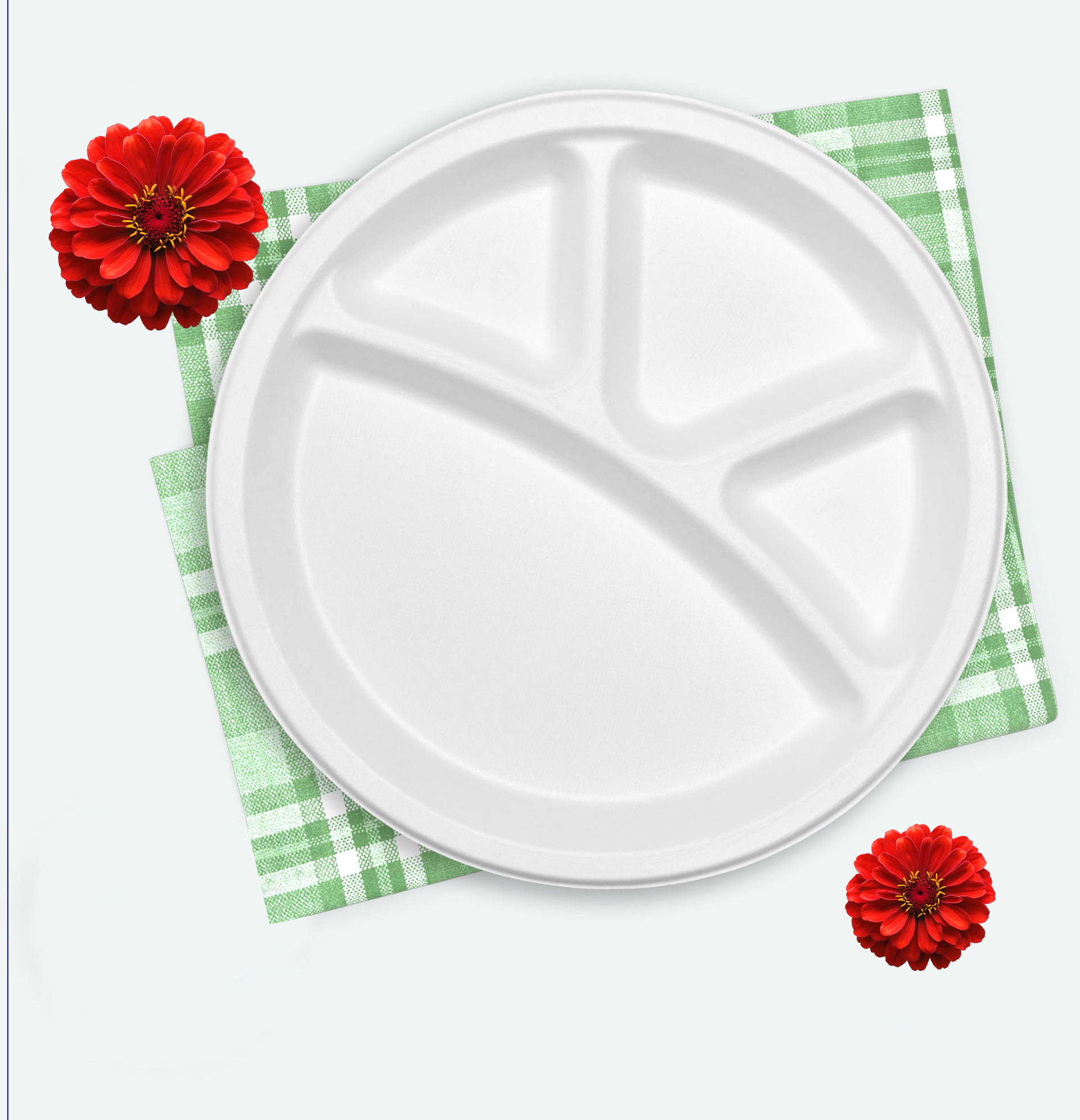 Compartment Plates